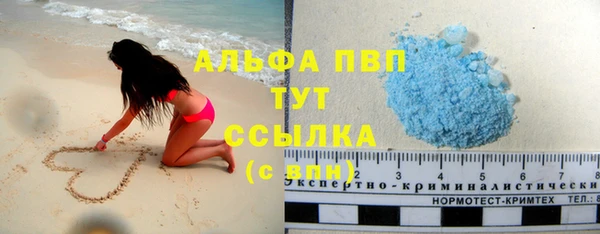 дживик Инсар