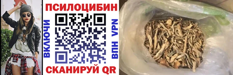 Купить где  Донской  Галлюциногенные грибы GOLDEN TEACHER 